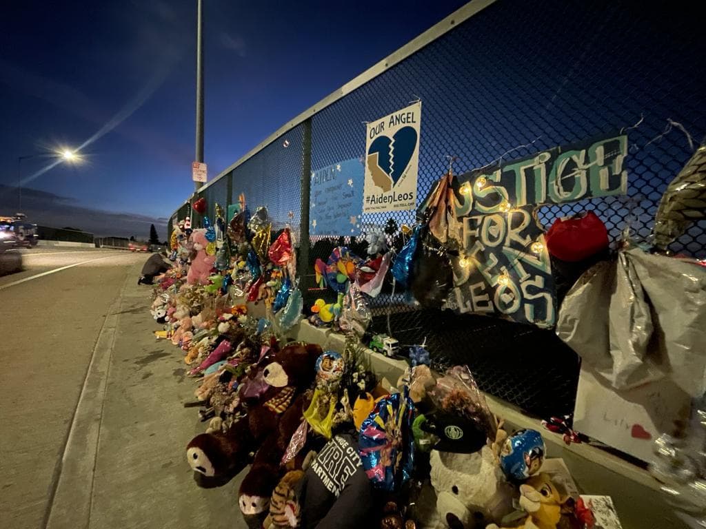 El pequeño de 6 años murió tras un polémico cambio de carril y una serie de señales con las manos por parte de la madra del pequeño y sus presuntos asesinos sobre la ruta Estatal 55 de la ciudad de Orange.
<br>
<br> 📌
<a href="https://www.univision.com/local/los-angeles-kmex/lo-que-se-sabe-de-la-muerte-de-un-nino-de-6-anos-en-medio-de-un-posible-caso-de-ira-al-volante-en-el-condado-de-orange-video">Lo que se sabe sobre la muerte de Aiden Leos en California.</a>