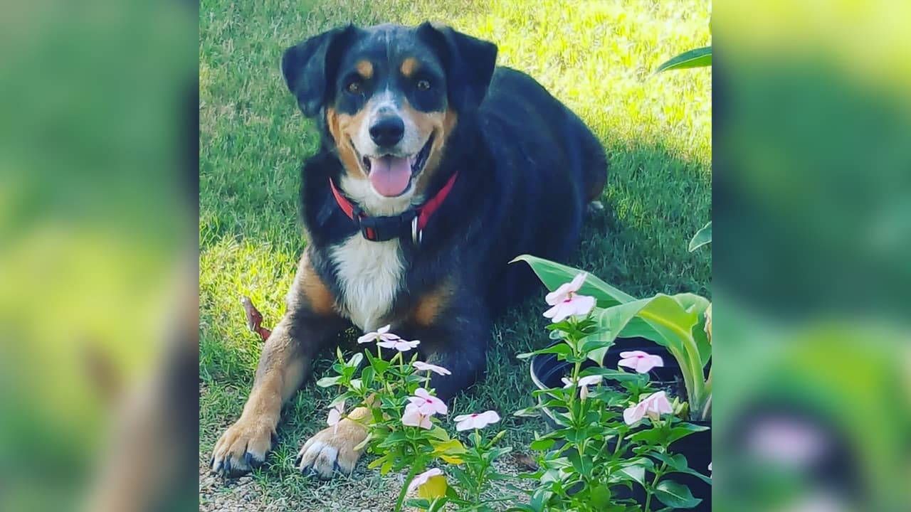 "Para mi hoy es un día triste mi bb hoy perdió la batalla que enfrentaba contra una horrible enfermedad". Diana López