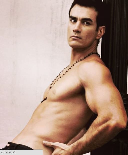 No cabe duda, David Zepeda es un galán de los pies a la cabeza.