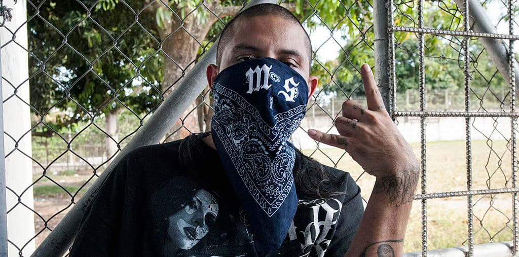 ¿La Mara Salvatrucha es un problema en Arizona?
