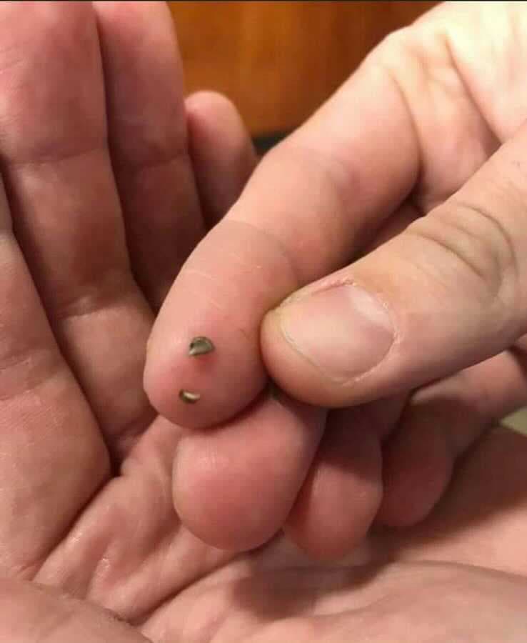 Se insta a los consumidores a no comprar este producto en tiendas o en línea. Si compró este artículo en el último mes, deséchelo correctamente y desinfecte su (s) tanque (s).