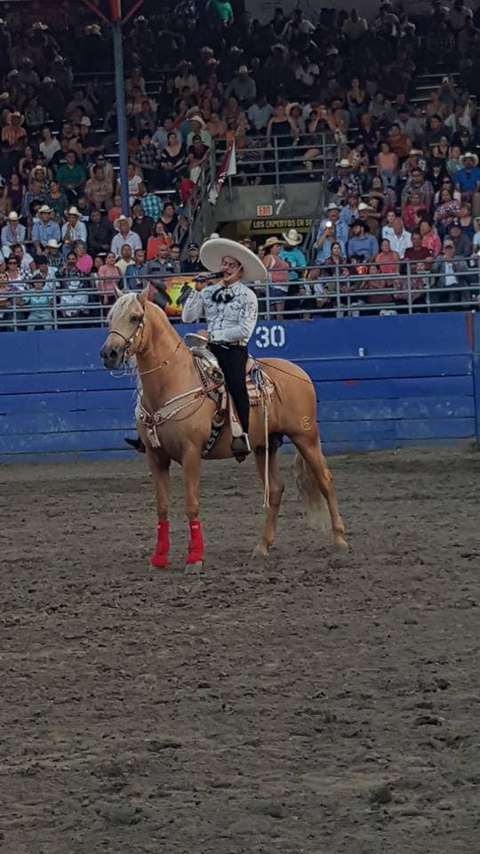 El cantante ofrece un espectáculo de caballos educados de alta escuela que sorprende a quienes lo ven.