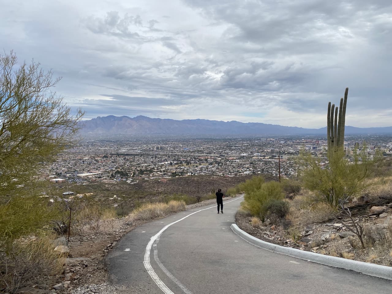 Identifican el cuerpo encontrado en la cima de la montaña Tumamoc en Tucson, policía busca información