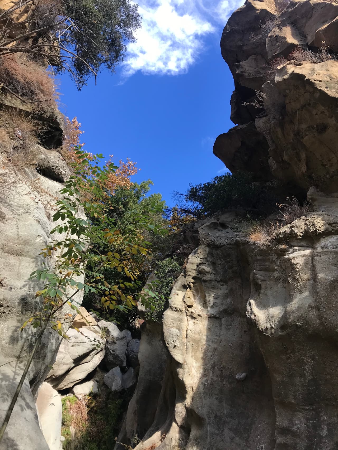 Siempre lleva una bolsa extra para que te lleves tu basura.
<br>Paseo a Santa Ynez Canyon, Eagle Rock en las montañas de Santa Monica.