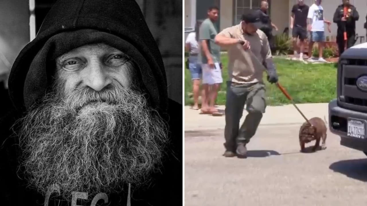 Dicen que está “devastado" el dueño de los 5 perros sospechosos de matar a un hombre en Fresno