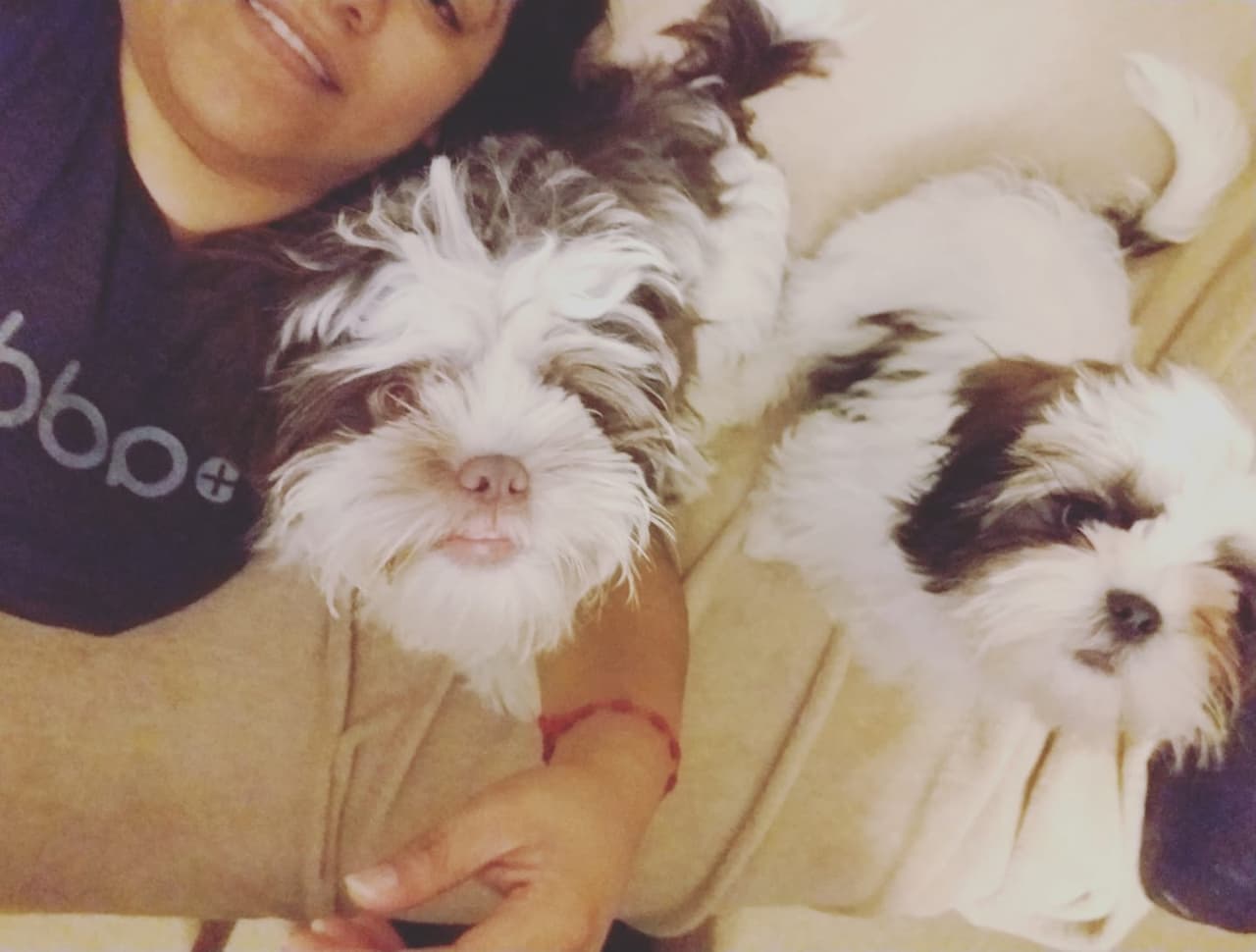 Lola Vaz-Borja compartió esta tierna foto junto a sus hijos perrunos.