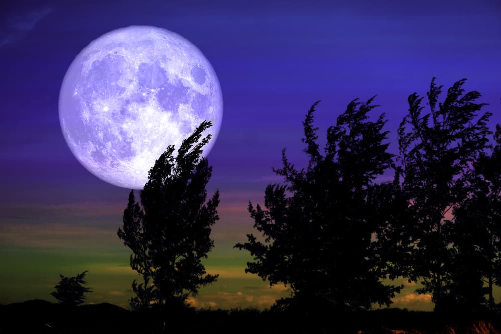 ¡Llegó el 9 de marzo, la noche de los anélidos! Este primer plenilunio de marzo, el que ocurre antes de comenzar el nuevo año zodiacal con el equinoccio de primavera en el norte, la superficie de la tierra se llena de lombrices que salen poéticamente a saludar la luna llena.
<br>