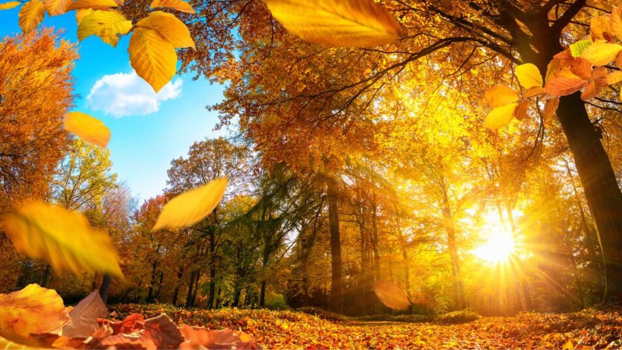 ¿Calor en otoño? Te explicamos qué es el veroño