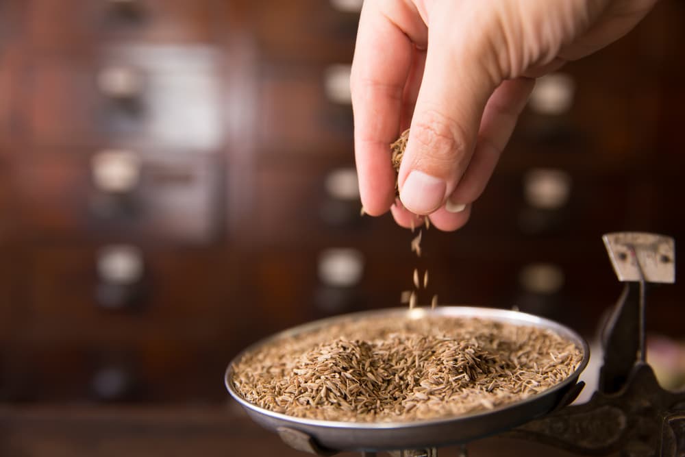 Esto significa que cualquier cosa relacionada con el comino o que lo contenga, no puede ser hurtada, pues alejará las malas intenciones de las personas. Así que puedes poner en tu cajón de alhajas una cajita con semillas de comino, para aprovechar esta superstición.