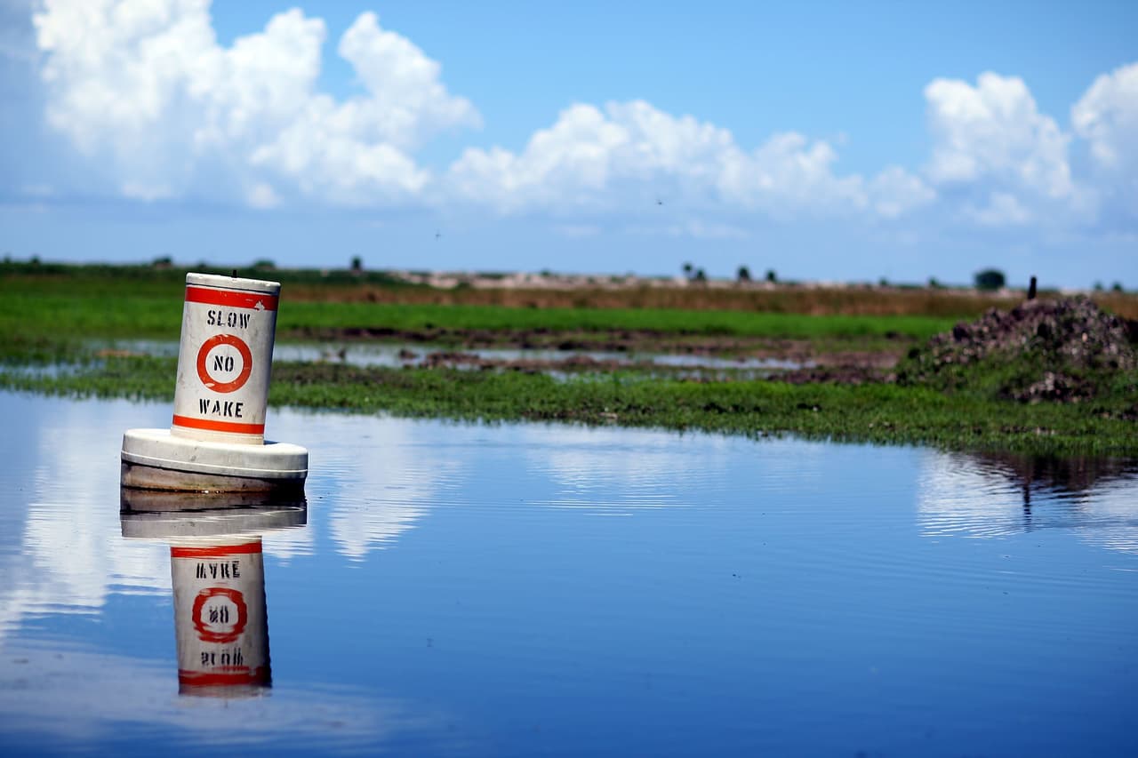 La ameba se encuentra por lo general en agua dulce templada como lagos, ríos y estanques, explica el Departamento de Salud de Florida.