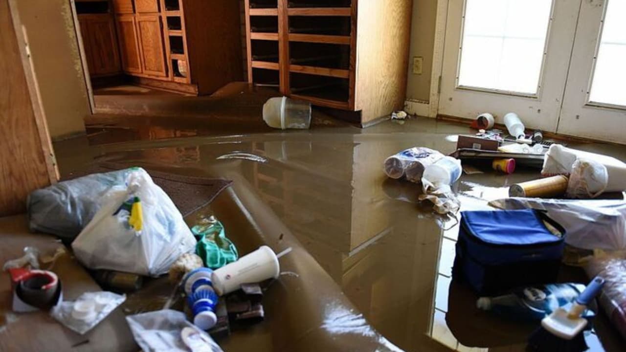 Condado Cook declara emergencia por inundaciones y el riesgo de más tormentas