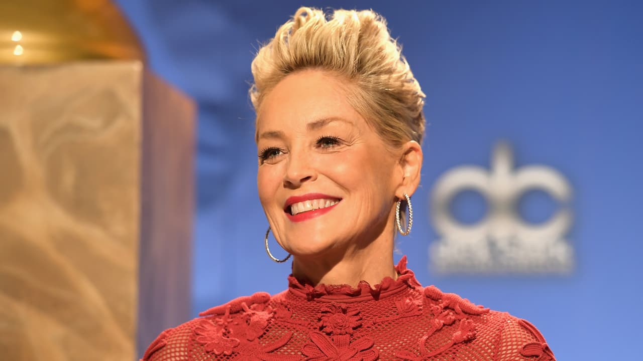 Así fue el romántico beso de Sharon Stone con su nuevo novio