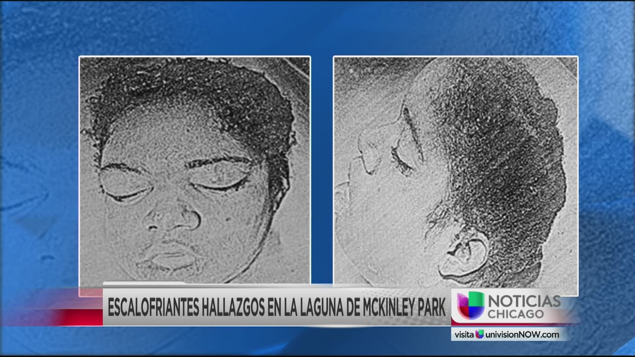 Dan a conocer retrato hablado de la cabeza encontrada en la laguna del McKinley Park