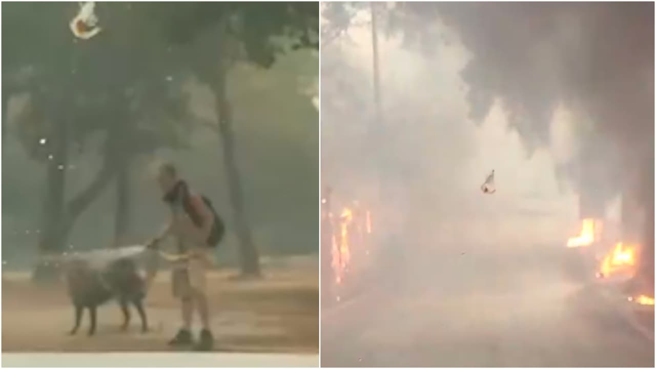 Sacan al último vecino de un barrio en llamas en Cariso, California