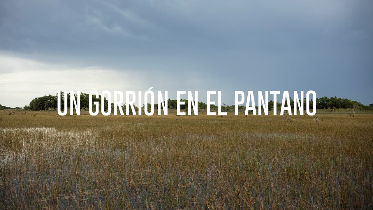 Un Gorrión en el Pantano: Cultura y extinción en el Río de Hierba 