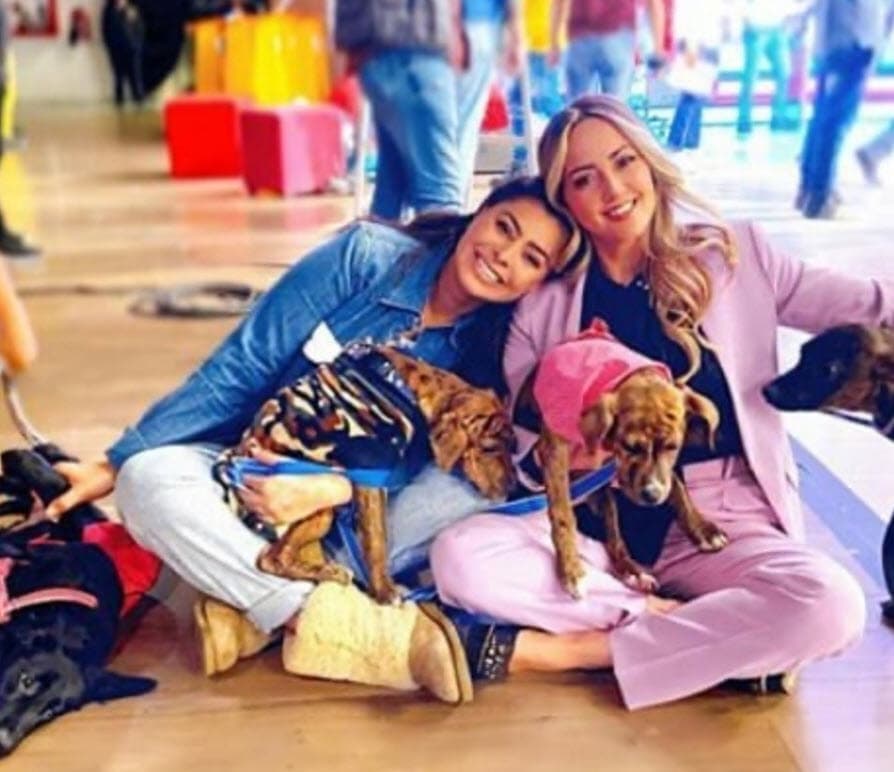 Se ha presentado en shows como
<b>Hoy</b> para incentivar la adopción de caninos y tuvo una charla virtual con los seguidores del canal mexicano TLNovelas en donde habló de su carrera como actriz.
<br>