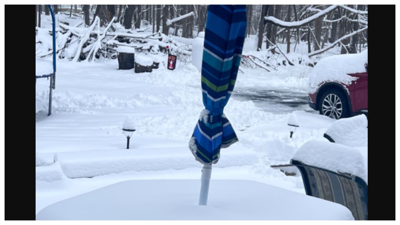 "Snowing today 02/28/2023". Autor: Gladys Puma