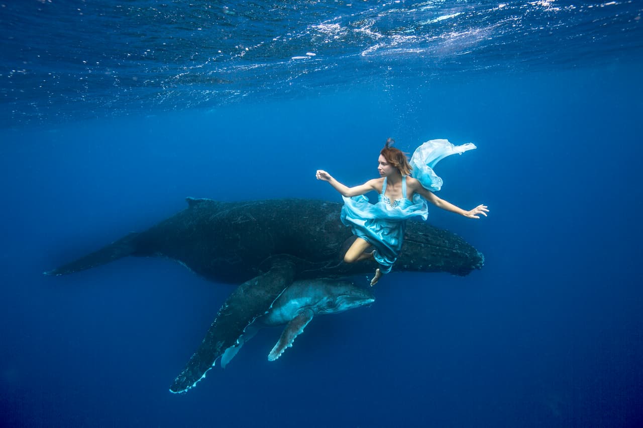 Una danza elegante bailaron una modelo y tiburones.