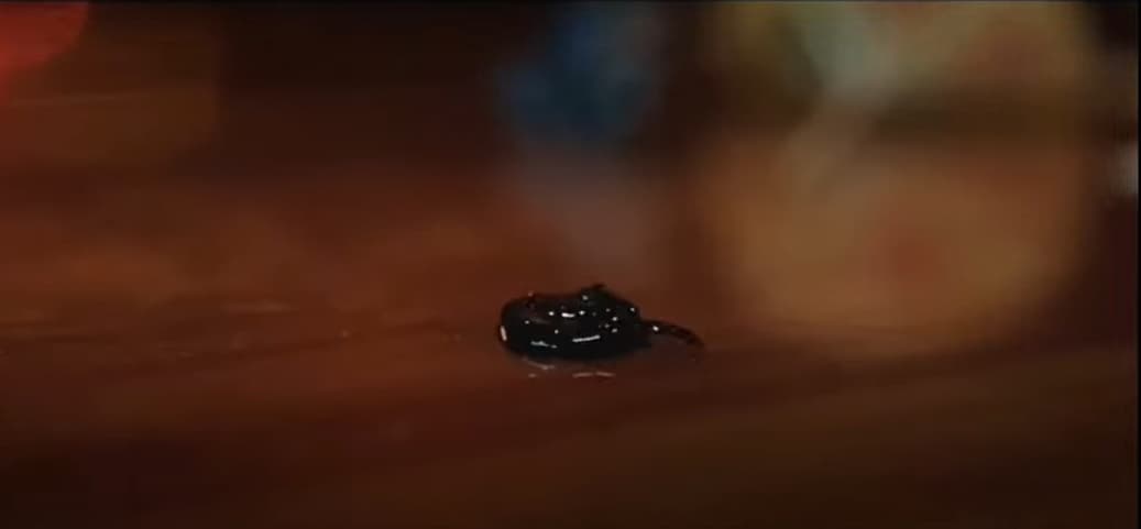 Captura de la escena postcréditos de Spider-Man: No Way Home