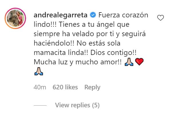 "
<b>¡Fuerza corazón lindo!</b> ¡Tienes a tu ángel que siempre ha velado por ti y seguirá haciéndolo! ¡No estás sola mamacita linda! ¡Dios contigo! ¡Mucha luz y mucho amor!". 
<br>