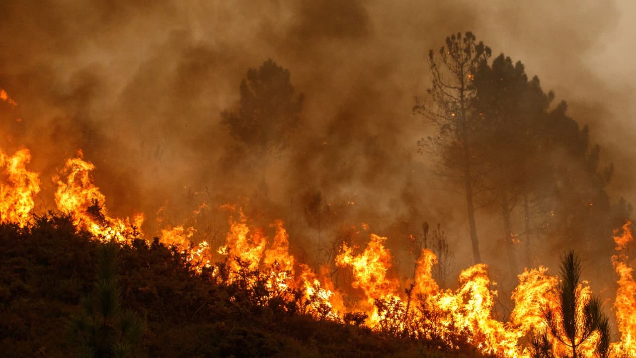 <h3 class="cms-H3-H3">Incendios recientes en el centro de Texas</h3>
<br>Austin y otras ciudades cercanas han experimentado incendios forestales severos en los últimos años. 
<a href="https://www.univision.com/local/dallas-kuvn/bomberos-logran-contener-incendio-smokehouse-creek-texas-fotos" target="_blank">El incendio de Smokehouse Creek consumió miles de acres y obligó a evacuaciones masivas</a>. Los bomberos de Austin han advertido que 
<b>la combinación de vientos fuertes y sequía extrema aumenta el riesgo en el área</b>. Mantente informado sobre la situación actual y 
<b>sigue las recomendaciones de seguridad.</b>