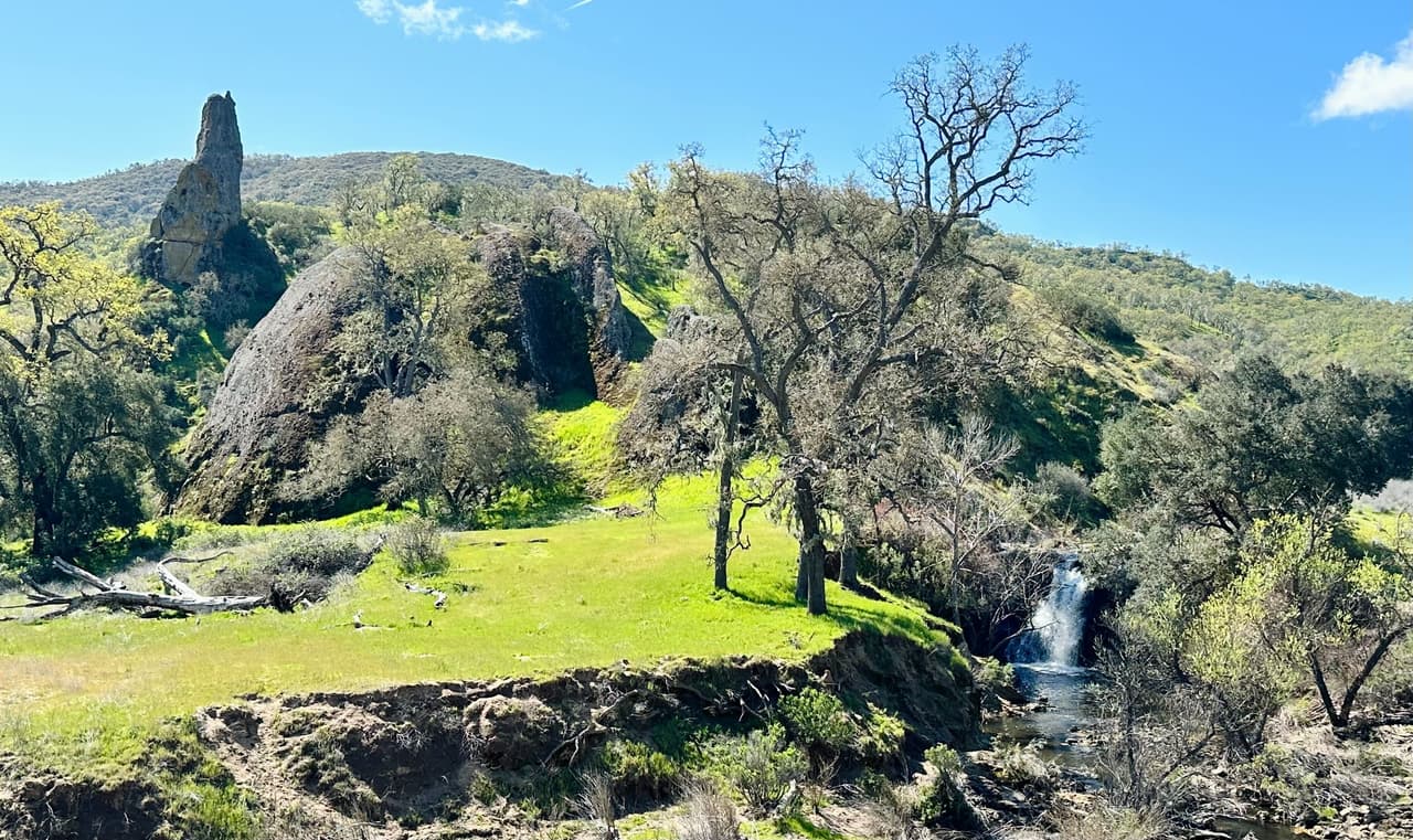 Las pasadas lluvias que azotaron California dejaron este hermoso verdor por donde se mire, pareciera un paisaje de cuento.
