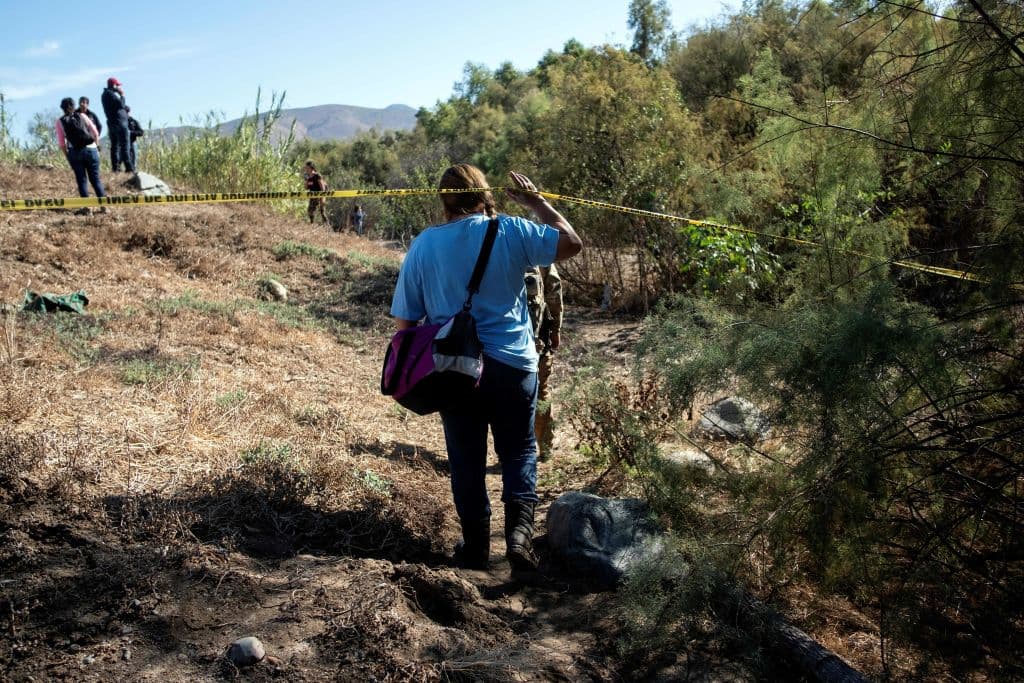 Madres de desaparecidos en México piden tregua al Cartel del Golfo para que las dejen buscar a sus familiares en un predio 