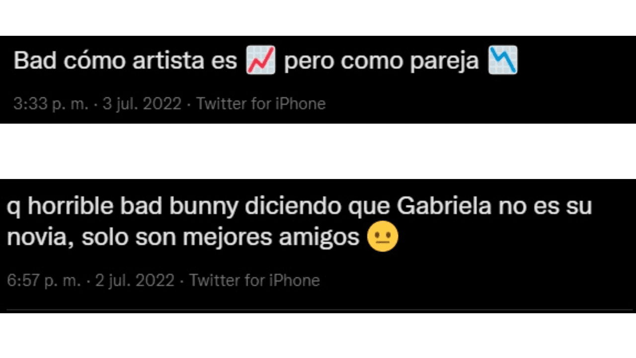 Opiniones sobre la relación de Gabriela y Gaby Bunny
