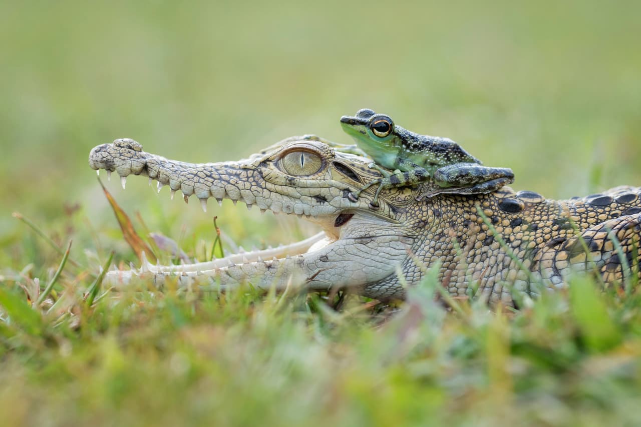 ¿Será que ya llevan muchos años de amistad?