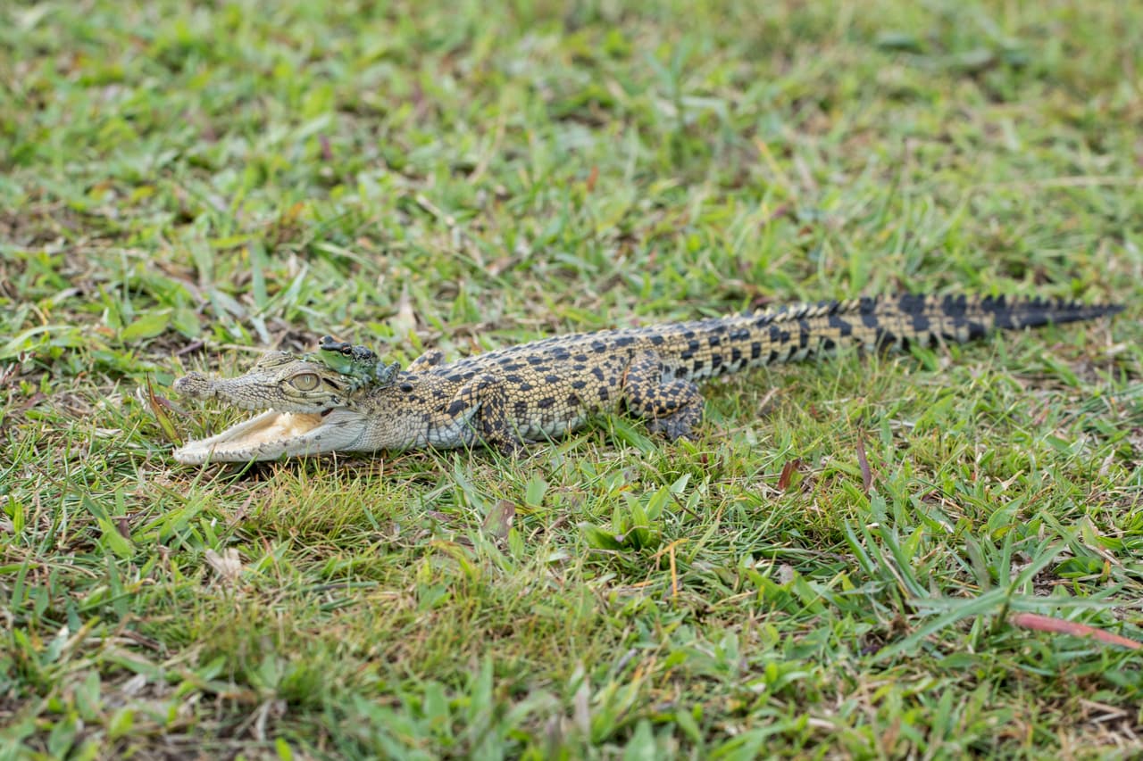Fue el fotógrafo Hendy Mp quien capturó las imágenes.