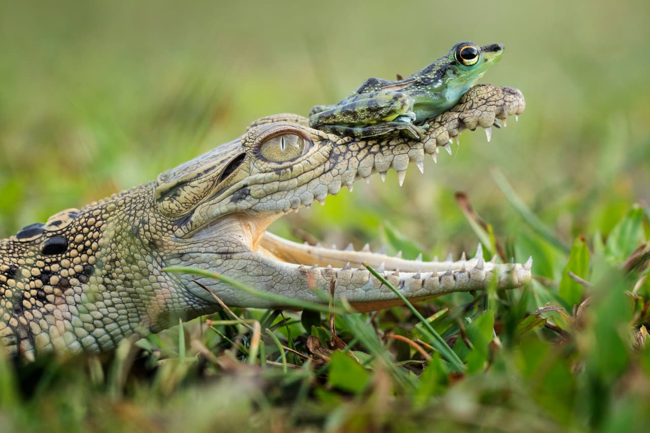 Uno parecía muy relajado en compañía del otro.