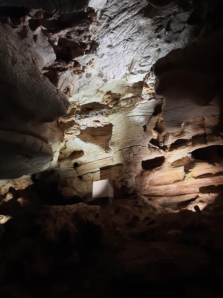 <a href="https://tpwd.texas.gov/state-parks/longhorn-cavern/park_history" target="_blank">Según el Departamento de Parques y Vida Silvestre de Texas,</a> la cueva ha proporcionado refugio desde tiempos prehistóricos. Algunos de los primeros visitantes fueron los pueblos prehistóricos de la zona. Usaron la gran habitación al lado de la entrada principal como refugio.