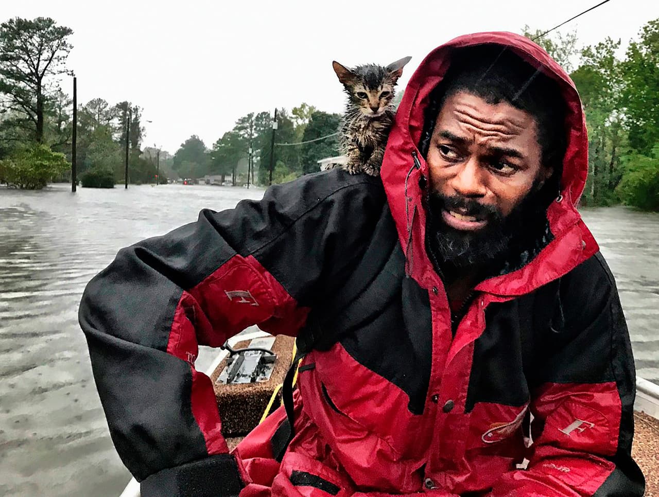 Robert Simmons Jr. y su gato ‘Survivor’ (sobreviviente) fueron rescatados en New Bern, Carolina del Norte. Aunque Florence tocó tierra a más de 80 millas al sureste de esta comunidad, New Bern, flanqueada por dos ríos, resultó severamente afectada por las inundaciones