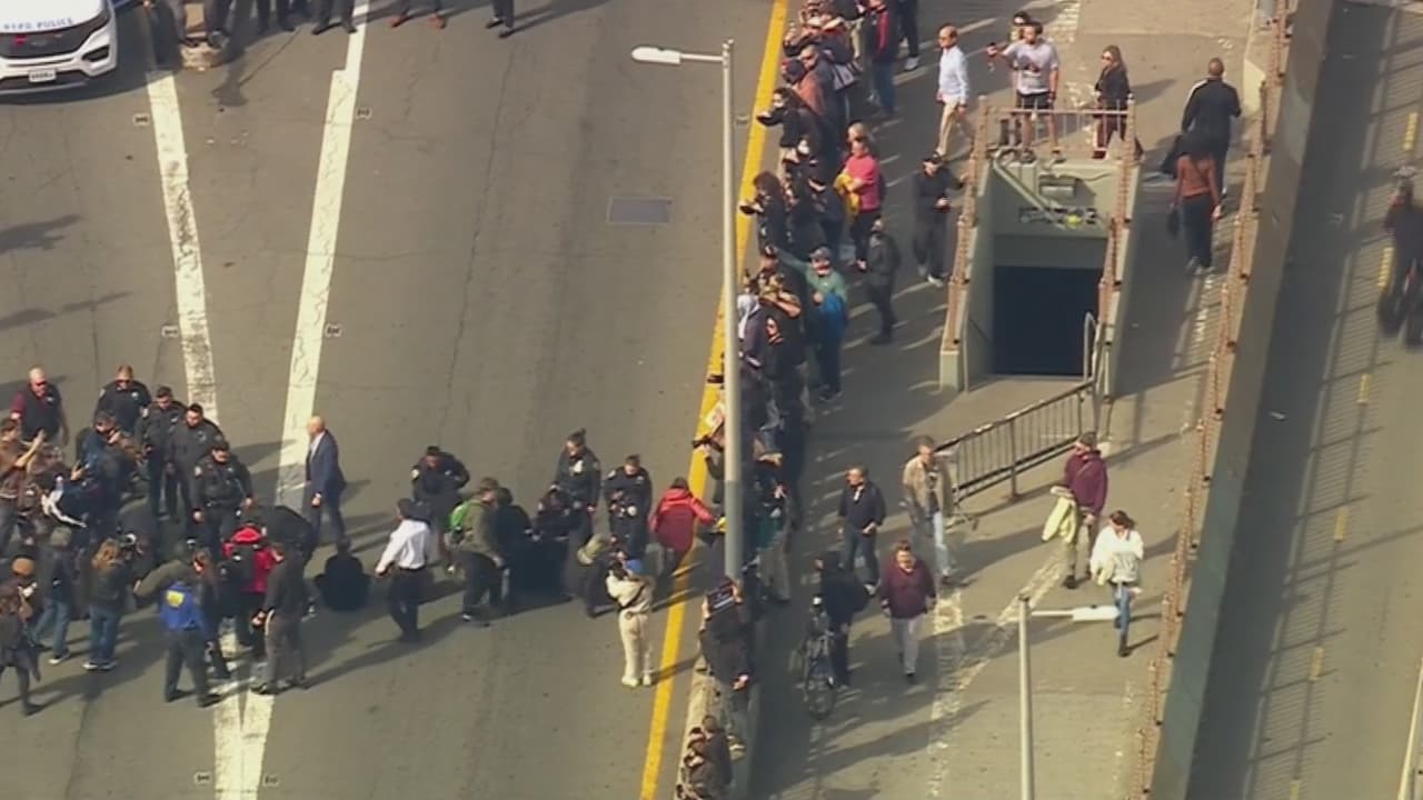Manifestantes protestan contra ICE en Nueva York y bloquean el puente de Brooklyn: 14 arrestados