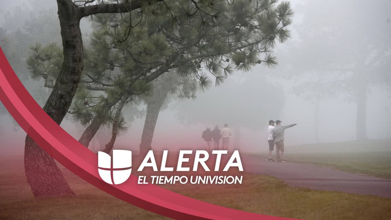 Allison Göhler, meteoróloga de Noticias Univision Chicago, te dice a detalle qué puedes esperar este día.