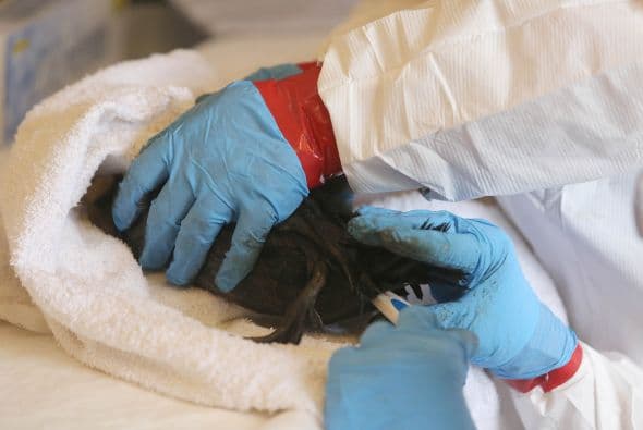 Continúan las labores de limpieza tras derrame de petróleo