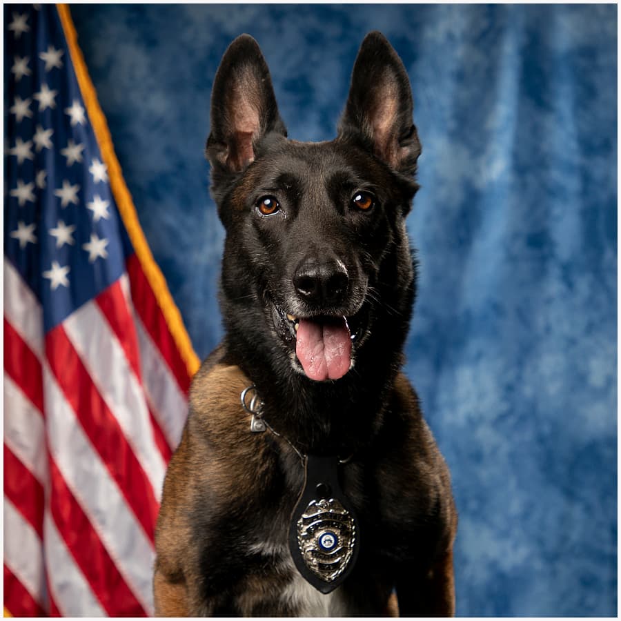 Encontró y capturó a Lemus-Maldonado, hombre acusado de iniciar un tiroteo en el restaurante El Ranchero, según reporte del Departamento de Policía de Marietta.