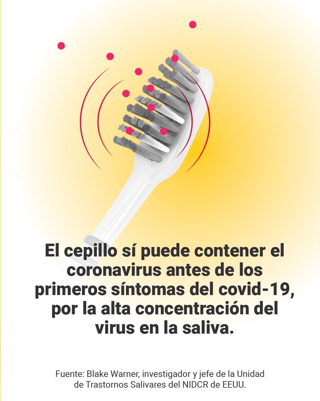 <a href="https://www.univision.com/noticias/no-evidencias-cepillo-de-dientes-si-tuve-covid-19-cause-infecciones-secundarias" target="_blank">Aquí puedes leer la verificación completa de <b>El Detector</b>. </a>