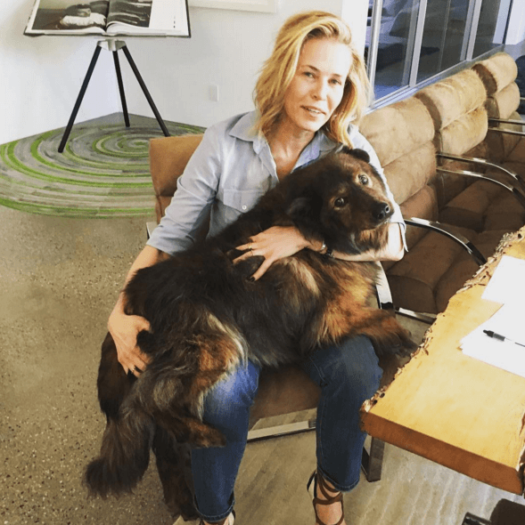 “Tammy Handler. Mi hija. Cuando encuentre a su padre, les dejaré saber”- Chelsea Handler.