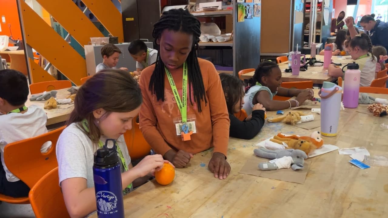'Patas y garras': Museo de Ciencias ofrece talleres de cuidado de mascotas para los más chicos