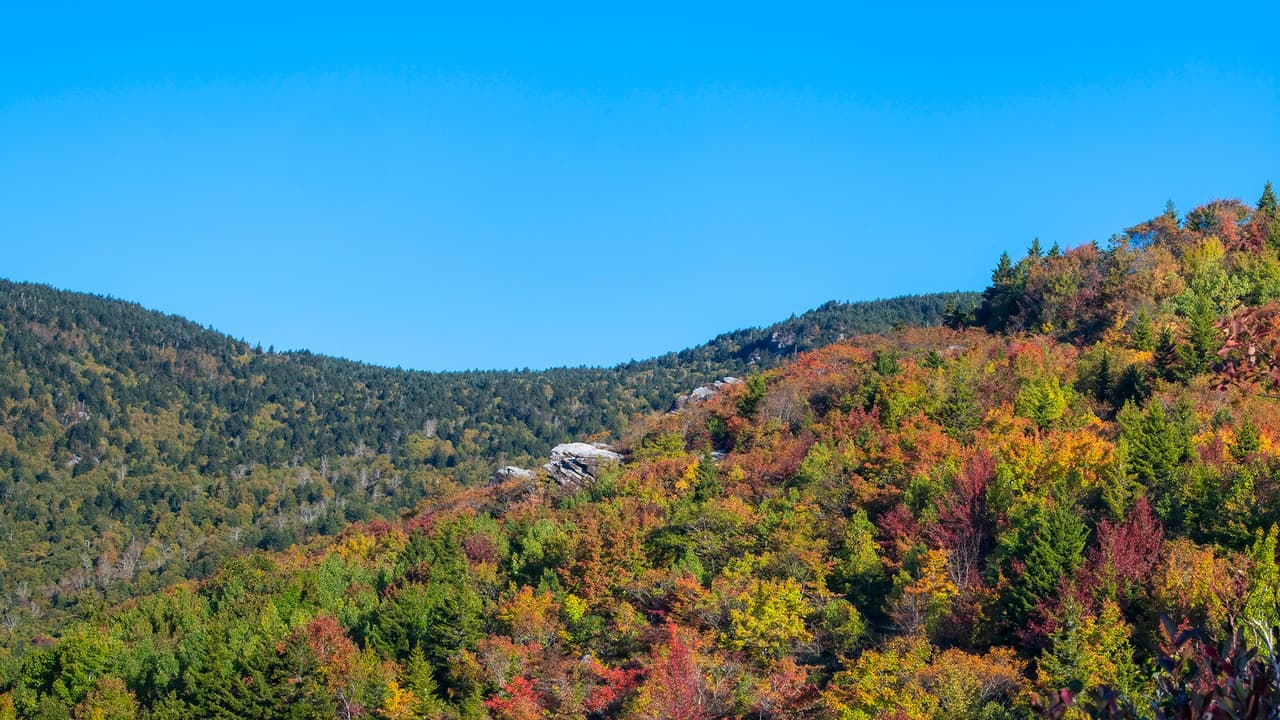 <a href="https://grandfather.com/"><b>Grandfather Mountain</b></a>. Uno de los mejores lugares para disfrutar de los colores es Grandfather Mountain, ubicado en Linville, que se encuentra a poca distancia en automóvil de Boone, Blowing Rock y Banner Elk. Tendrás que comprar un boleto para ingresar al parque, pero luego puedes conducir a tu gusto, deteniéndote en el camino para disfrutar de las impresionantes vistas.
<br>
<br>
<a href="https://goo.gl/maps/6a4SZsAn3w9zxVkZ7"><b>Cómo llegar</b></a>