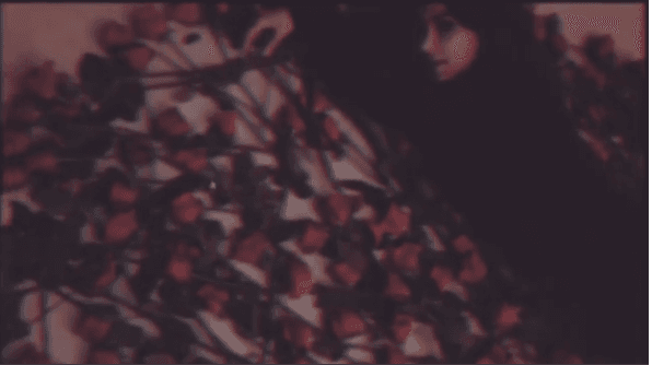 Kim publicó un video en el que se ve acostada sobre muchísimas rosas rojas y se le puede ver de lo más feliz.