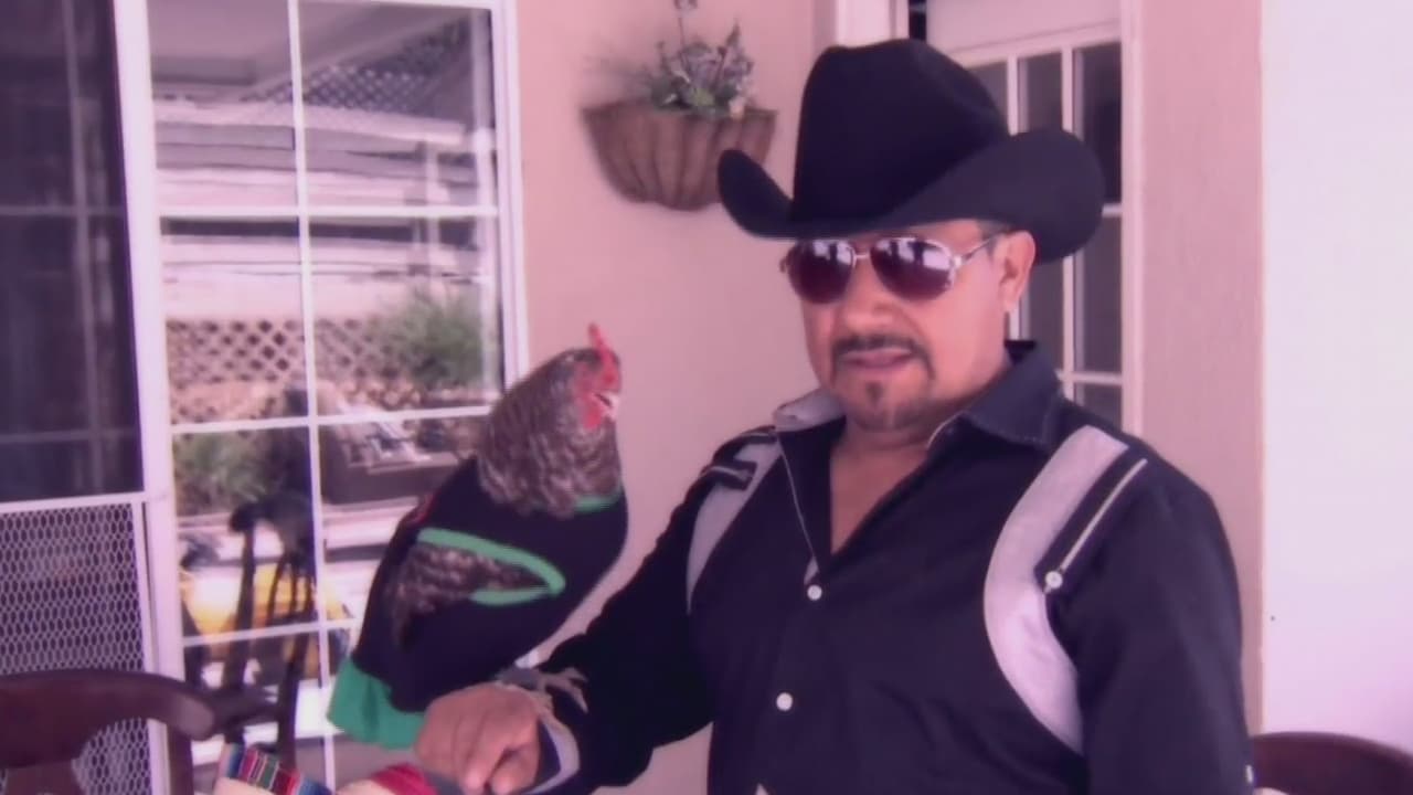 La 'gallina vidente' ya tiene ganador para los cuartos de final: ¿México u Honduras?