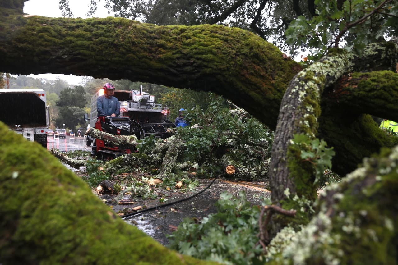 <b>Ross.</b> Los trabajadores de los árboles cortaron un árbol que cayó a través de una carretera el 24 de octubre de 2021 en Ross, California.