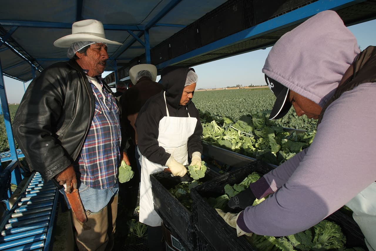 Campesinos indígenas mexicanos en California piden atención por el covid-19 y reforma migratoria