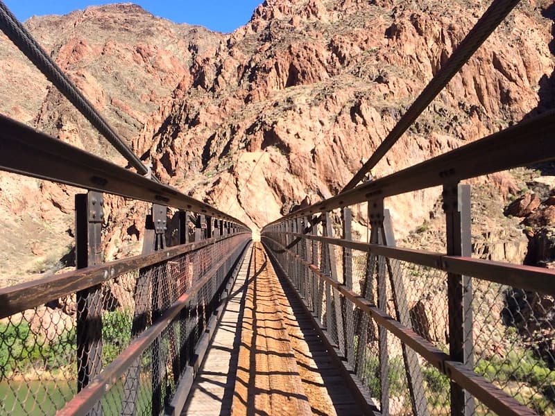 A pesar de que desde la cima el Gran Cañón se ve seco e inhóspito, al bajar se puede apreciar diferente vegetación, mucho verdor y vida silvestre.