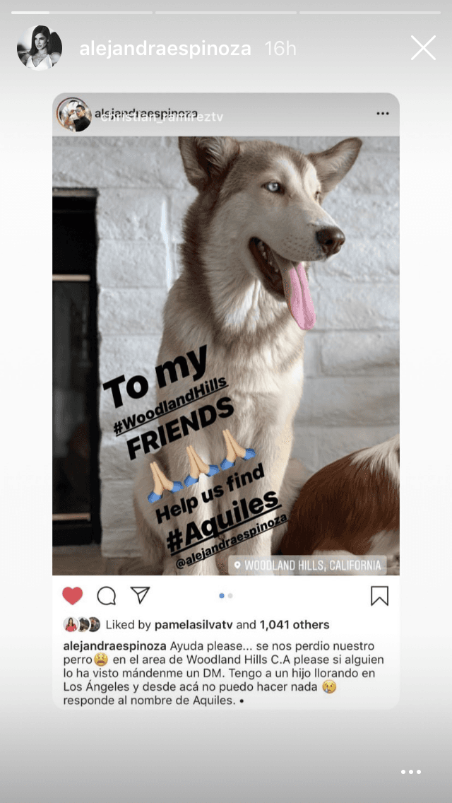 La actriz no solamente dio las gracias a quien le dio los datos para encontrar a su querida mascota, también a todos los que la auydaron a buscarlo y compartieron su publicación.