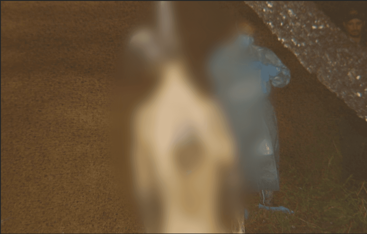 El cadáver en estado de descomposición colgaba con un pedazo de tela atado al cuello y no tenía los pies.