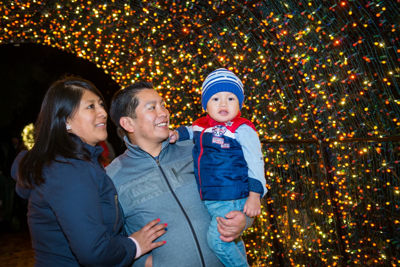 También vuelve el túnel de luces, una de las atracciones más buscada para fotos.