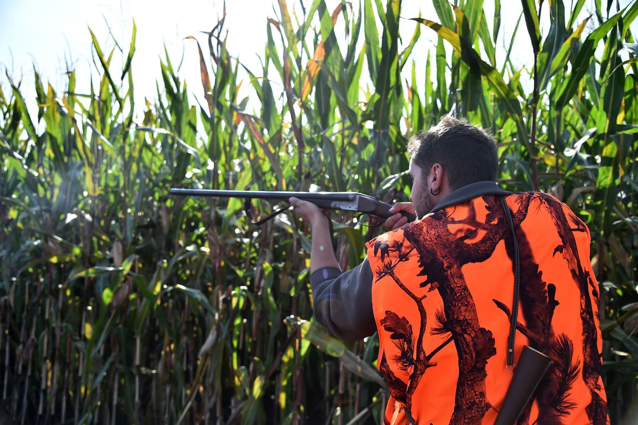 Todos los cazadores nacidos a partir del 1 de enero de 1961 deben completar con éxito un curso de educación para cazadores antes de comprar una licencia de caza. No se requiere educación de cazador si compra una licencia de aprendiz o una licencia a corto plazo, si está cazando en su propia tierra o si está cazando aves de caza criadas en corrales en un coto de tiro con licencia.